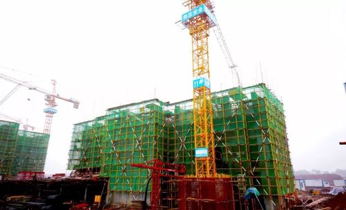 壹號家書丨北風促急,江灣工程加速趕進